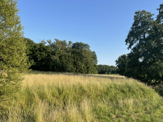 Baugrundstück in 15326 Treplin